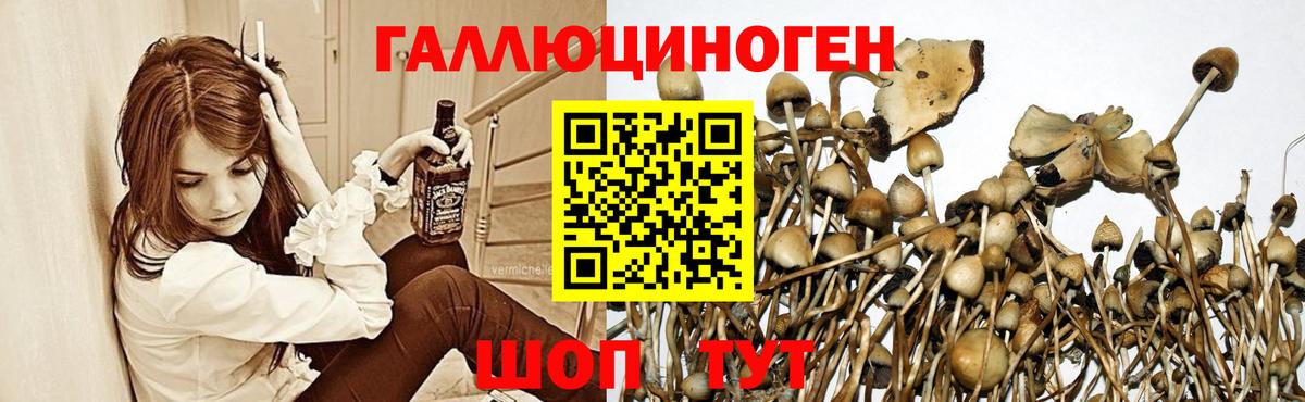 Псилоцибиновые грибы прущие грибы  Псилоцибиновые грибы ЛСД  Заводоуковск  где купить наркоту  Вход с VPN 